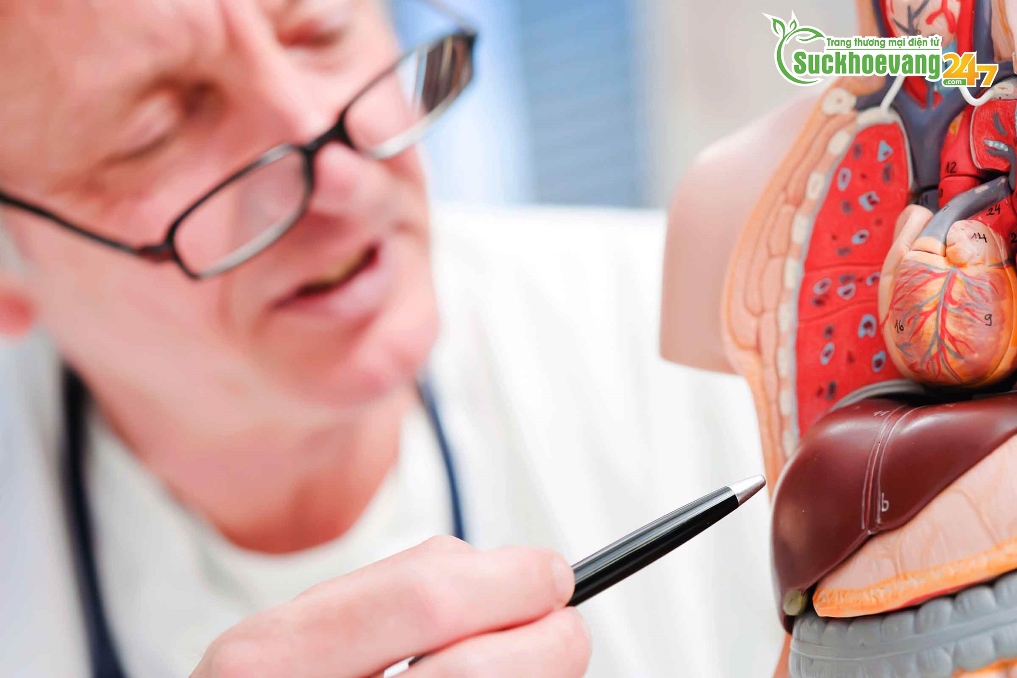 Các bệnh về gan thường gặp ở người cao tuổi