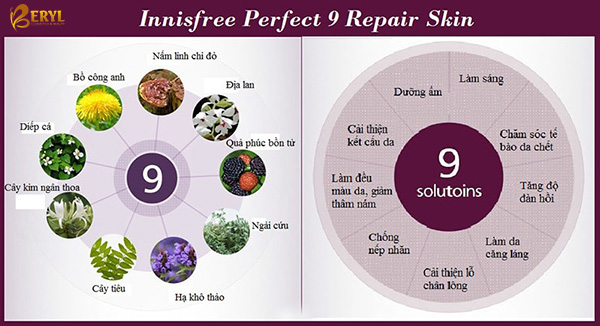 Nước hoa hồng chống lão hóa Innisfree Perfect 9 Repair Skin Ex