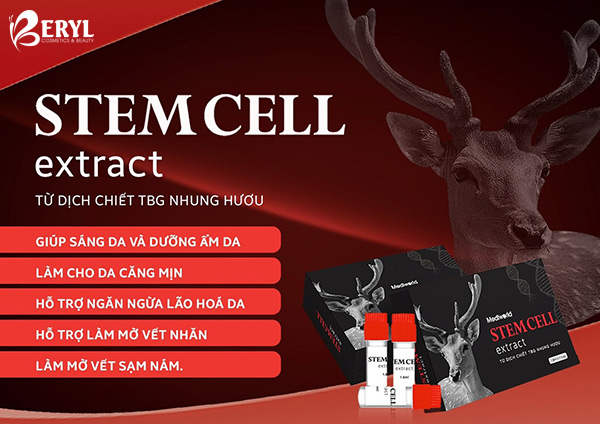 Công dụng của dịch chiết tế bào gốc Nhung Hươu Mediworld Stemcell Extract