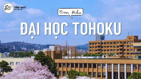 Đại học Tohoku - Ngôi trường quốc lập lý tưởng vùng Đông Bắc Nhật Bản