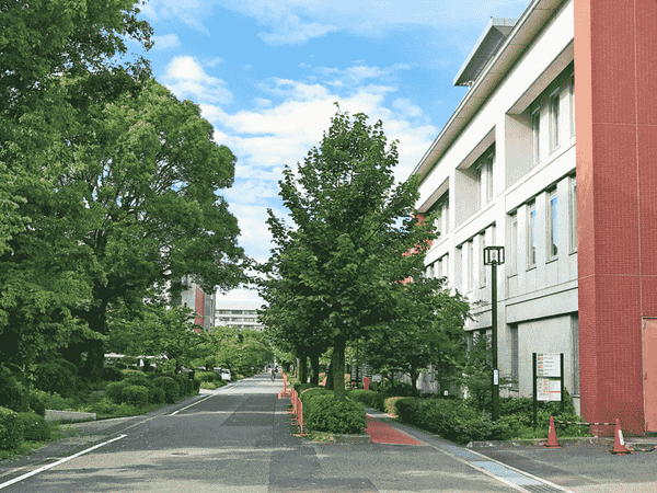 khoa y đại học kyoto