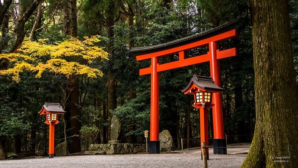 cổng torii thần đạo nhật bản