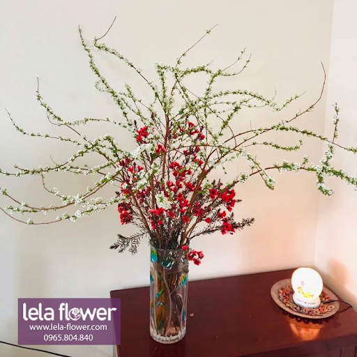Trào lưu chơi hoa thanh liễu, tuyết mai Tết cổ truyền – Lela-flower
