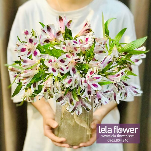 Toàn bộ những điều mà bạn cần biết về hoa thủy tiên – Lela-flower