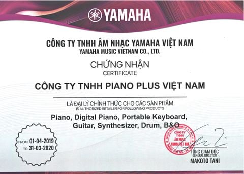 Piano Plus - Đại Lý Chính Thức Của Yamaha Việt Nam