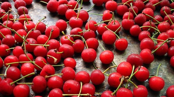 Bảo quản cherry đúng cách