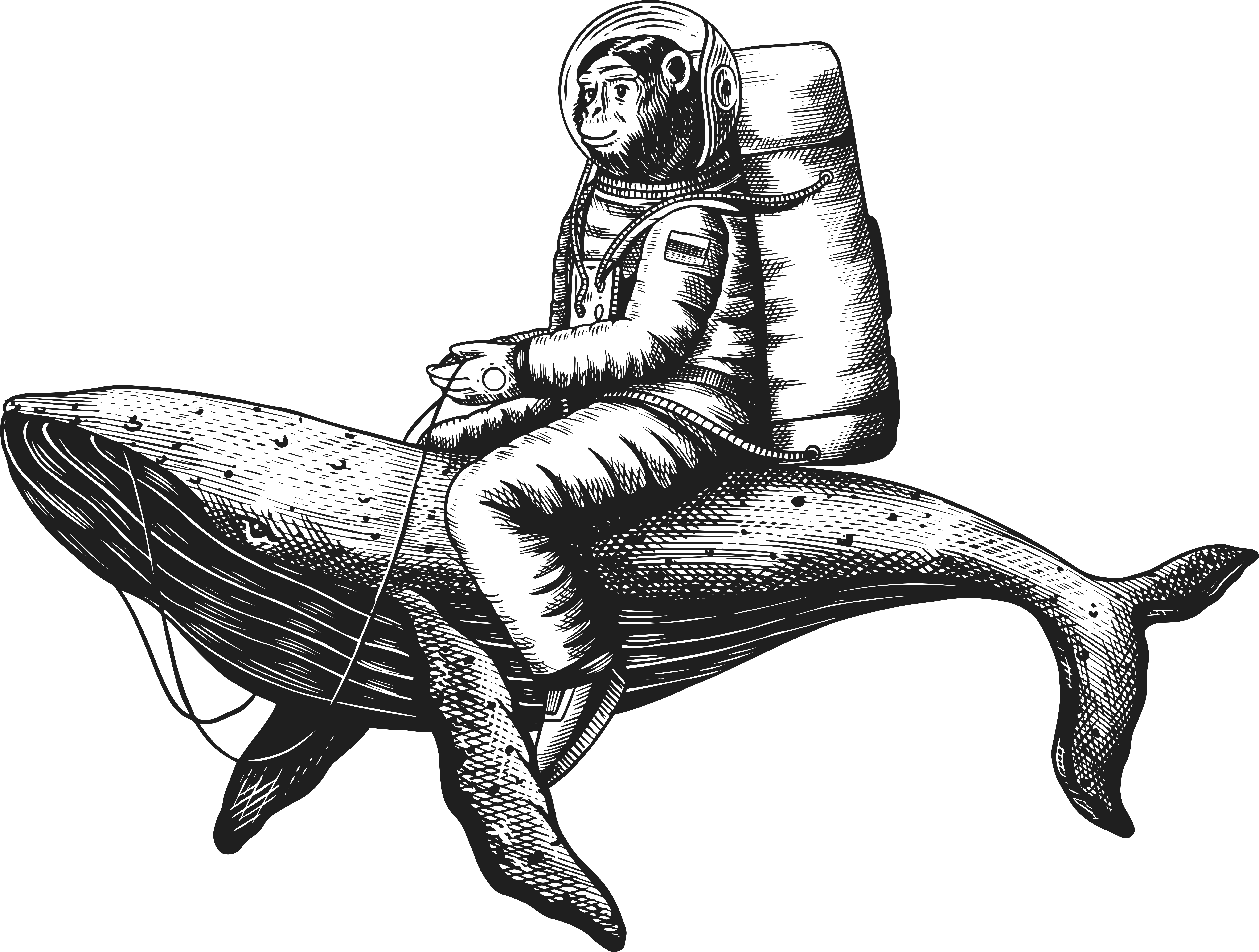 Summer Sunrise Elopement in Da Lat || Prad & Kat