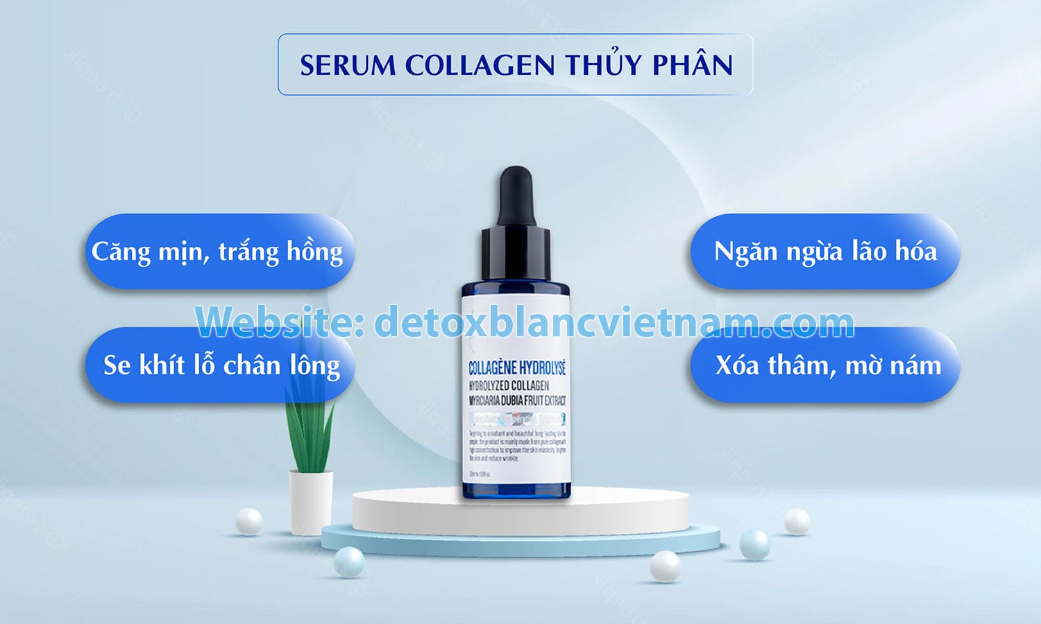 serum collagen thủy phân Detox Blanc