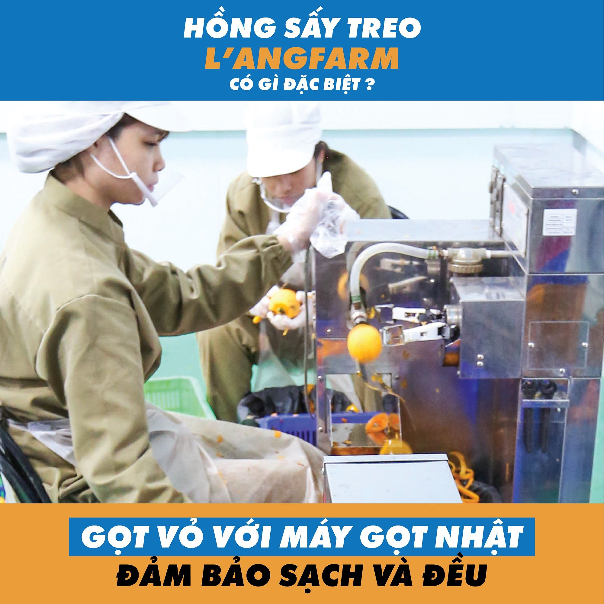 hồng sấy treo công nghệ nhật bản Gọt vỏ hồng