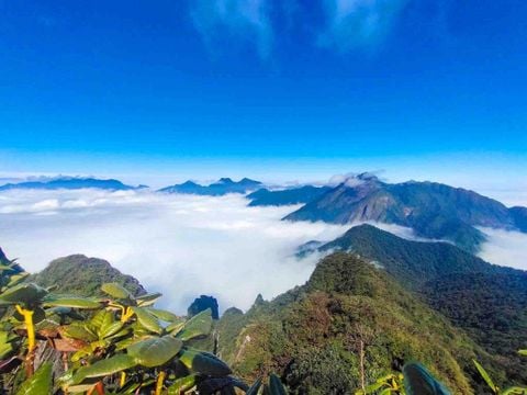 Chinh phục Tả Liên Sơn - đỉnh núi cao thứ 6 Việt Nam (2.996m)