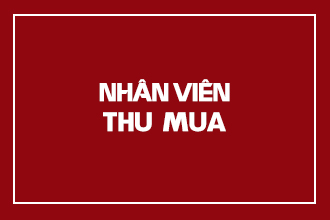 NHÂN VIÊN THU MUA (NGÀNH MAY MẶC)