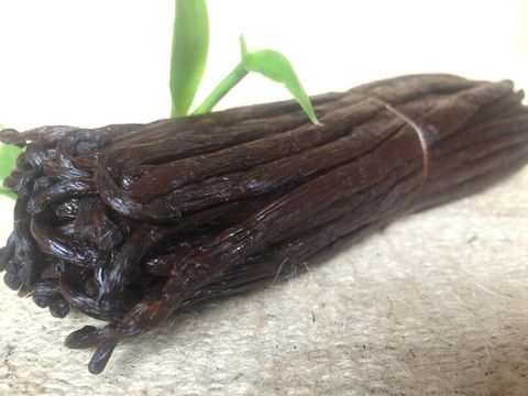 Vanilla: Cây lan cho quả làm hương liệu