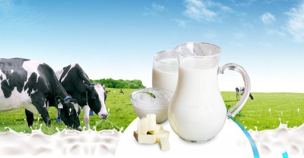 Sữa Tươi Nguyên Kem Dạng Bột A2 Úc - 1KG