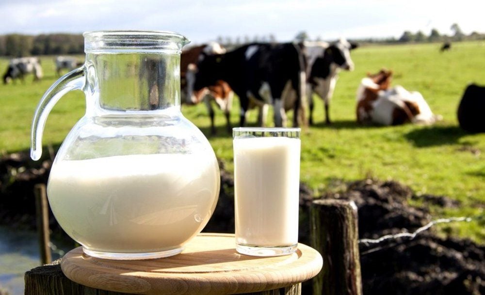 Sữa Tươi Nguyên Kem Dạng Bột A2 Úc - 1KG