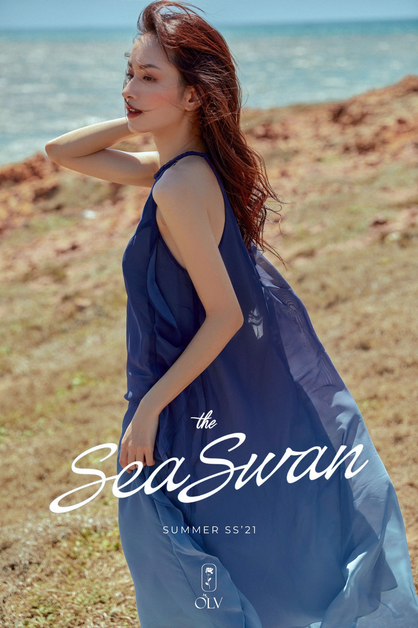olv the sea swan