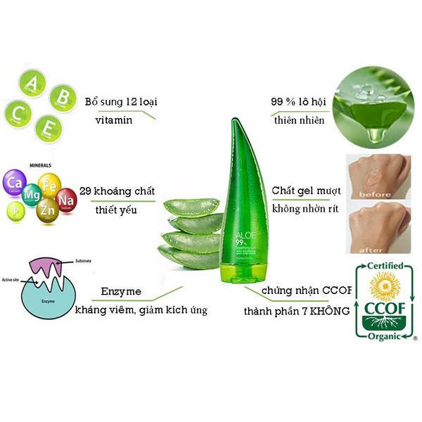 gel nha đam Holika Holika dưỡng da đa năng