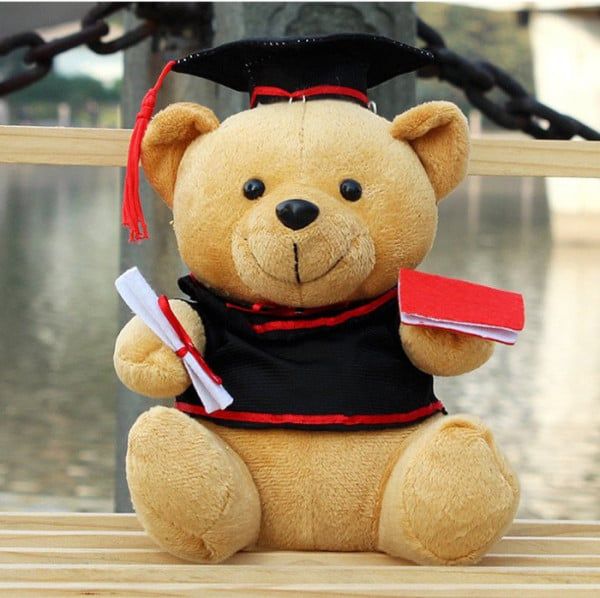 Gấu bông tốt nghiệp quà tặng vô cùng ý nghĩa và tuyệt vời