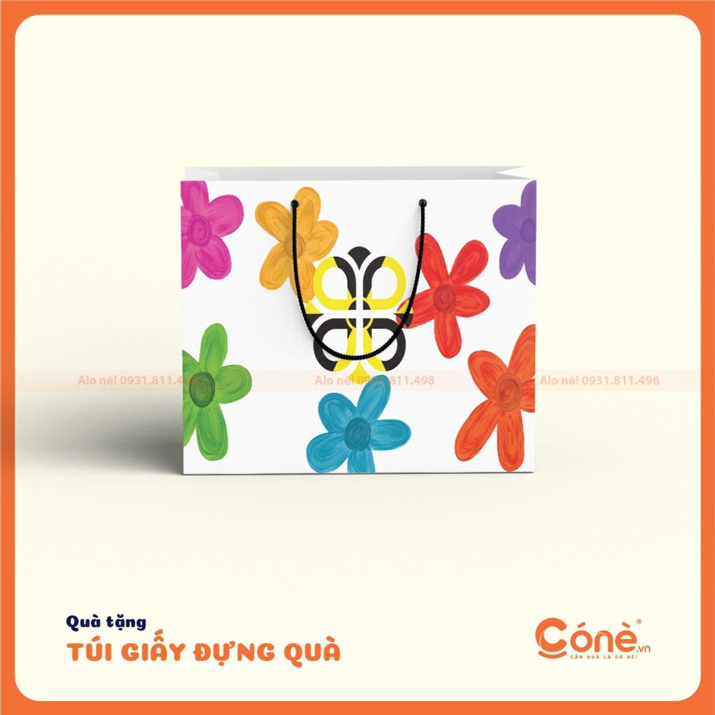 Túi Giấy Đựng Quà Tặng Premium Cone | Túi Giấy Duplex