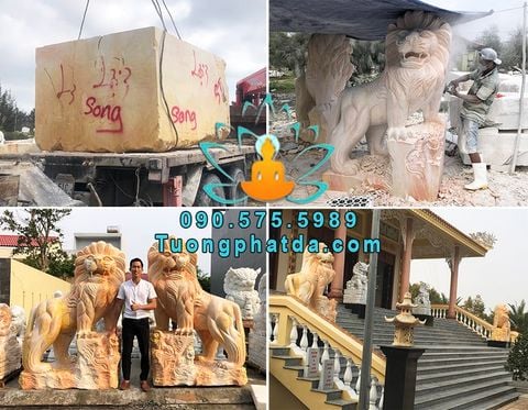 Tượng Sư Tử Đá Cẩm Thạch Vàng Cà Rốt Cao 2m Về Cần Thơ