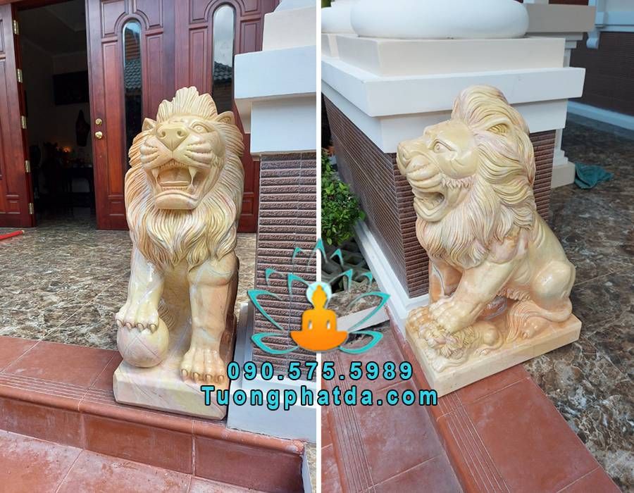 Tượng sư tử ngồi đá cẩm thạch vàng cao 1m hoàn thiện về khách tại Hồ Chí Minh