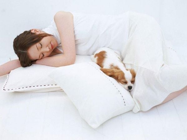 2 tư thế ngủ giúp tăng vòng 1 hiệu quả chị em nên biết