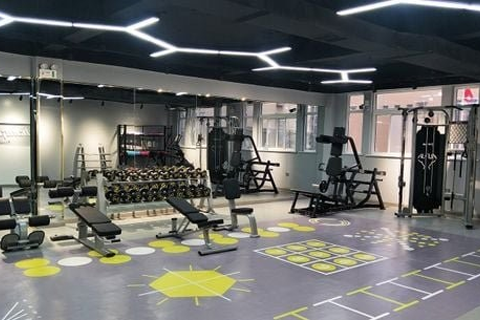 Khai Trương Phòng Gym SHUA Mới tại Quảng Ninh: Sự Khẳng Định Đẳng Cấp và Chuyên Nghiệp