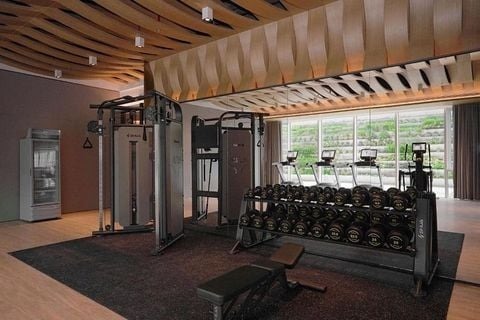 Khai Trương Phòng Gym Đẳng Cấp tại SHUA: Địa Điểm Luyện Tập Lý Tưởng Cho Mọi Người Giới Thiệu: