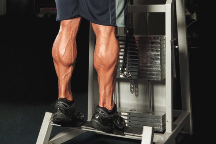 Tập cơ chân to khỏe,đừng bỏ qua 4 bài tập này!