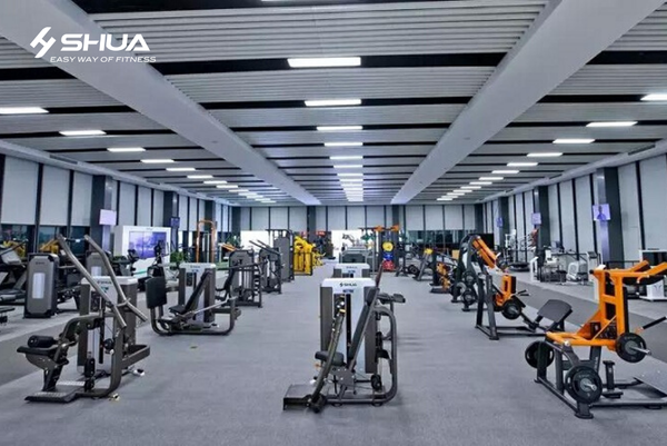 SHUA - Chuyên nghiệp tạo nên từ sự khéo léo và trung thực