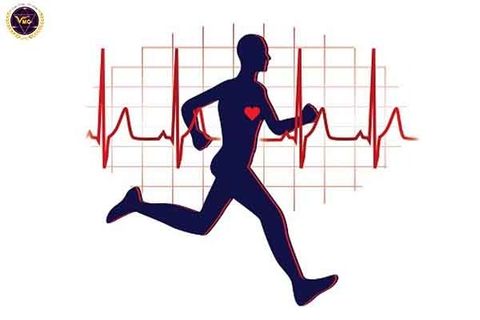 Tìm hiểu về tính năng đo nhịp tim trên máy chạy bộ
