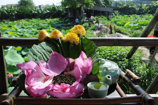 Xây dựng thương hiệu cho chè sen Hồ Tây cổ truyền