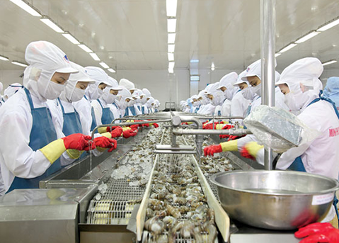 RECRUITMENT OF 06 FEMALE WORKERS FOR SEAFOOD PROCESSING JOB IN MAY 2024