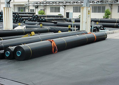 Tuyển 03 nam nghề chống thấm nước tháng 11 / 2022