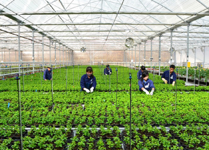 Tuyển 03 nữ nghề nông nghiệp chăn nuôi