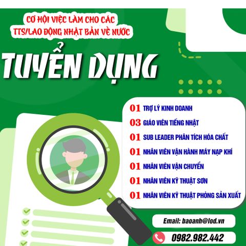 THÔNG TIN CƠ HỘI VIỆC LÀM SAU KHI ĐI TTS/LAO ĐỘNG NHẬT BẢN VỀ NƯỚC