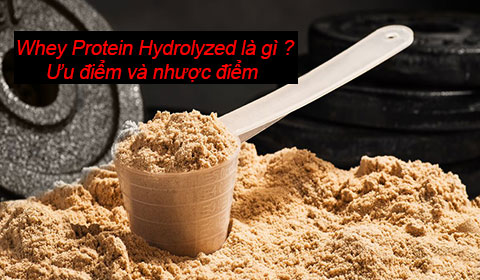 Whey Protein Hydrolysate là gì ? Lợi ích ưu điểm và nhược điểm