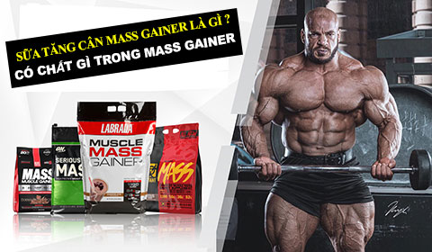 Mass Gainer là gì ? Có chất gì trong sữa Mass Gainer và có tặng dụng gì ?