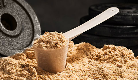 Whey Protein là gì ? Tác dụng và có nên uống Whey Protein không ?