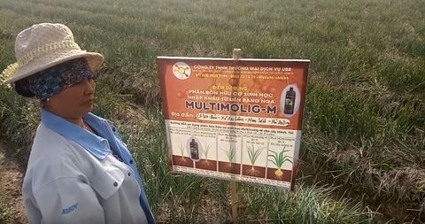 Phỏng vấn nông dân sử dụng phân bón Multimolig-M cho cây hành tại xã An Lâm, huyện Nam Sách