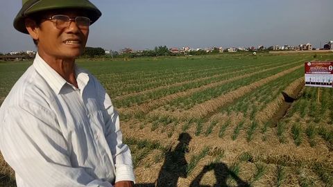 Phỏng vấn sử dụng phân bón hữu cơ sinh học Multimolig trên cây lúa tại Xã Nam Trung