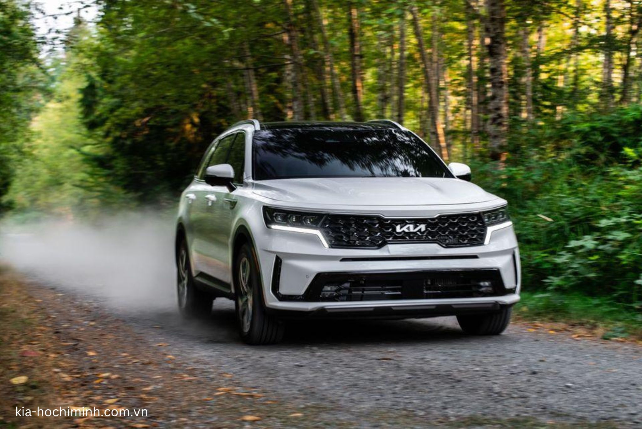 Kia Sorento 2025 - Đánh Giá Chung, Thông Số, Giá Lăn Bánh Mới Nhất 3/2025