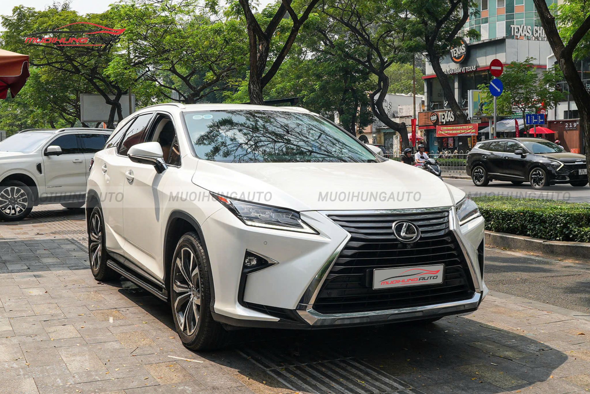 Bệ bước chân Lexus RX350 2019