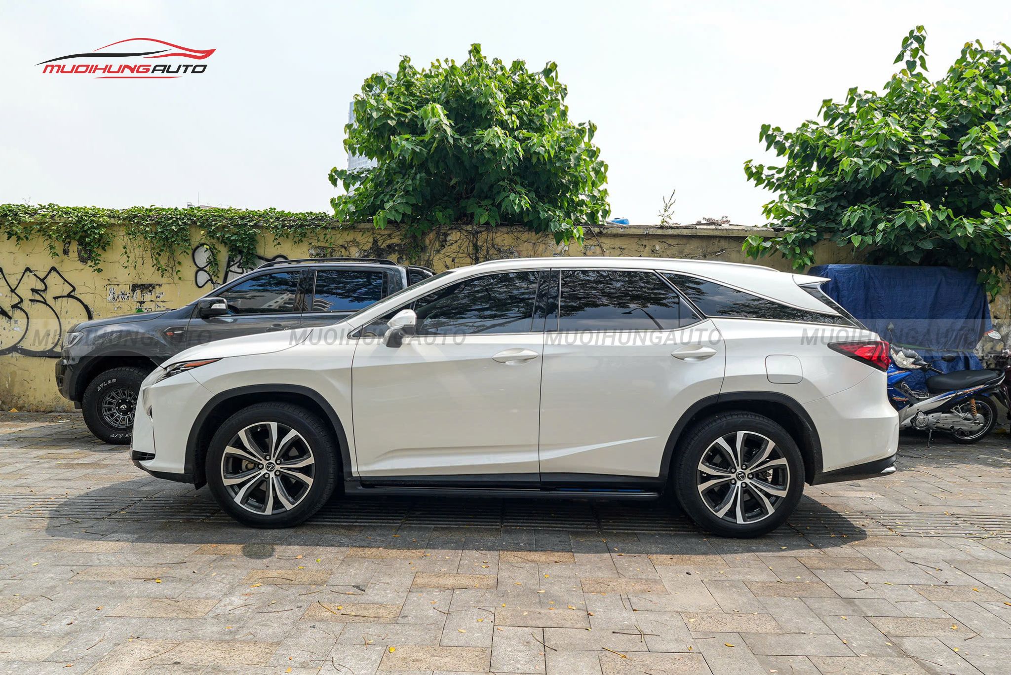 Bệ bước xe Lexus RX350 2019