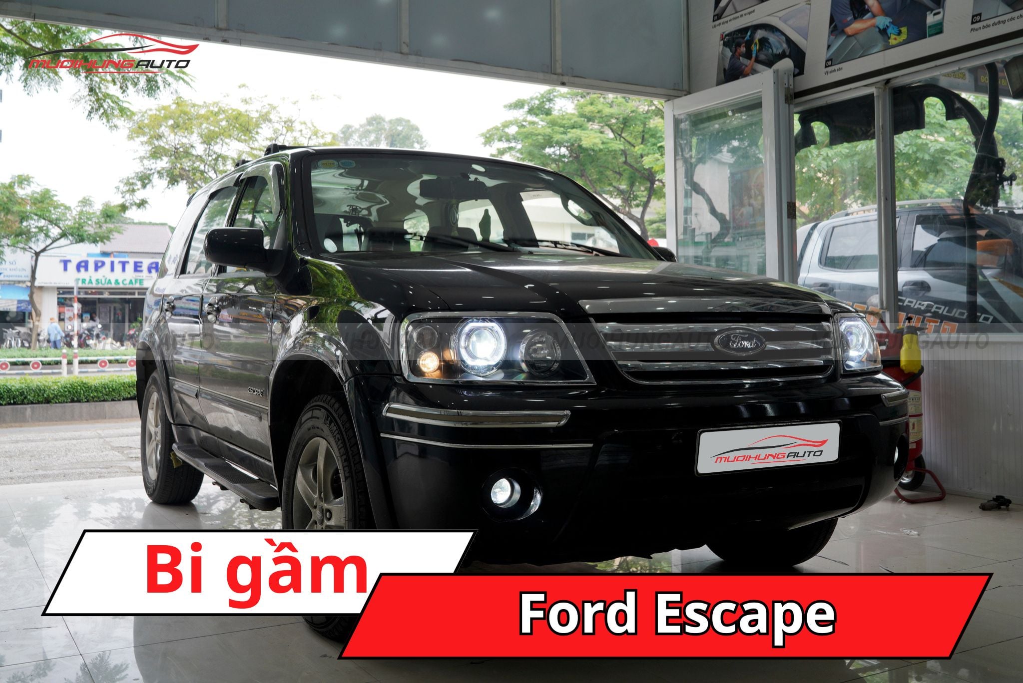 Bi gầm Ford Escape