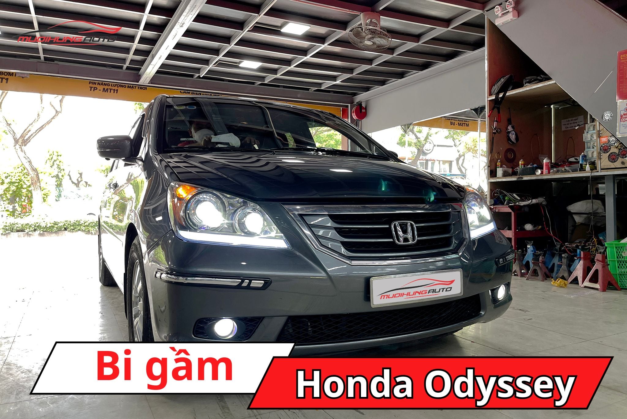 Bi gầm Honda Odyssey