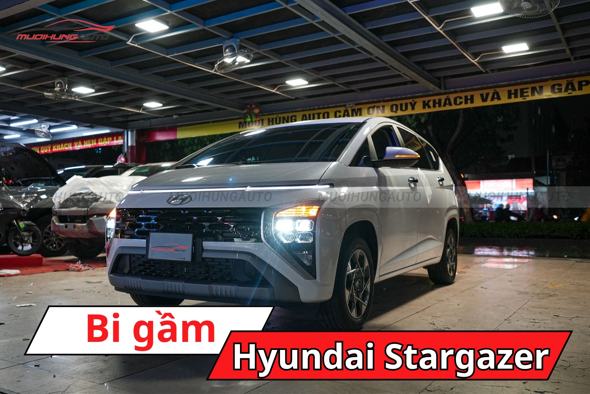 Bi gầm Hyundai Stargazer