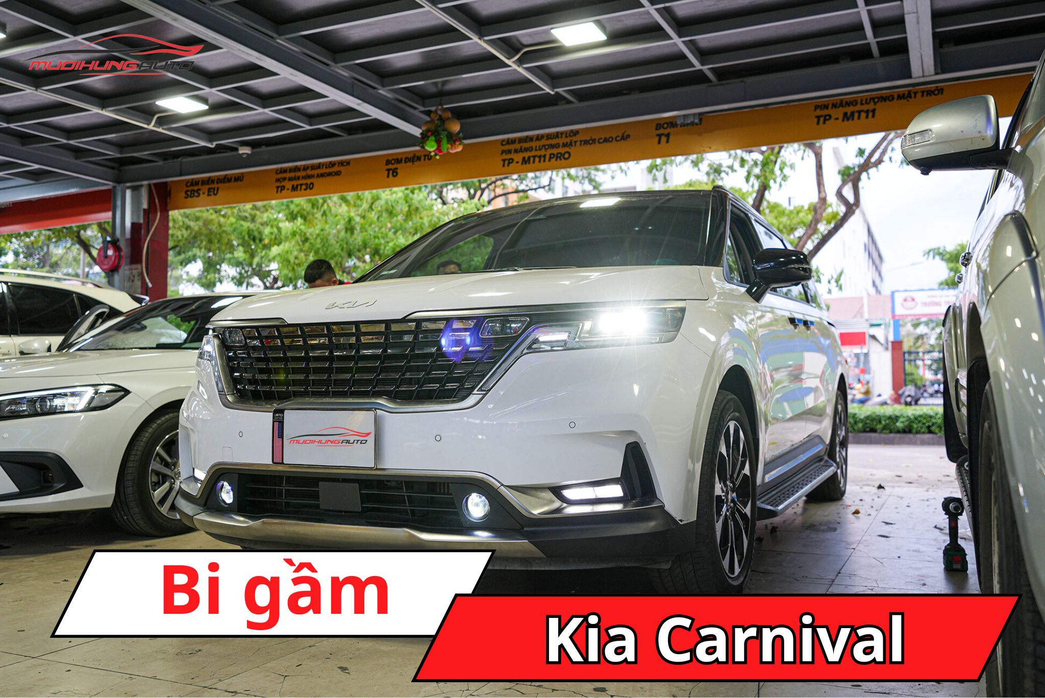 Bi gầm Kia Carnival