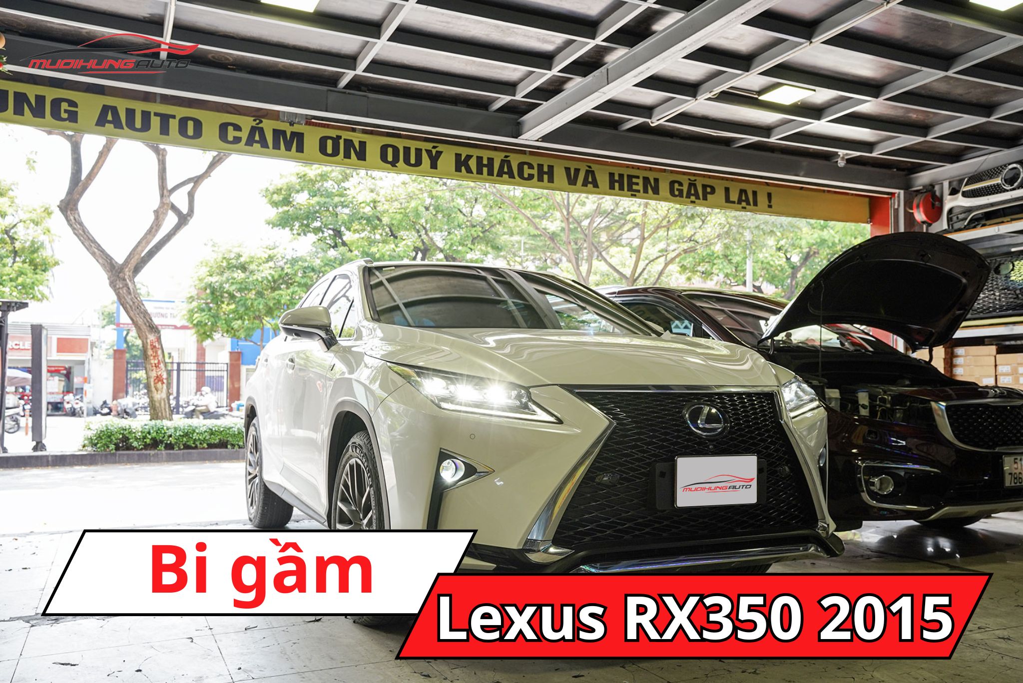 Bi gầm Lexus RX350 2015