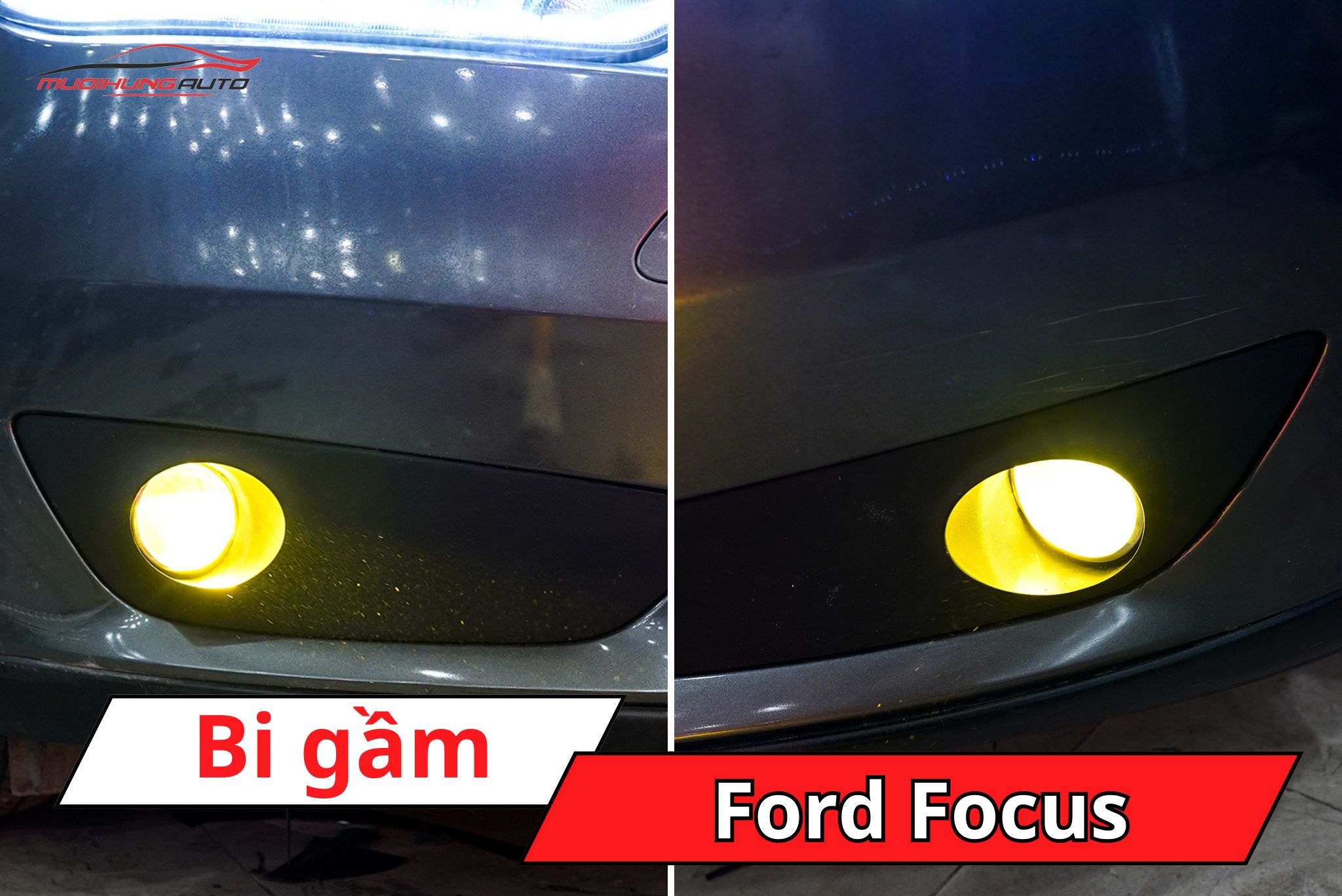 Bi gầm ô tô Ford Focus