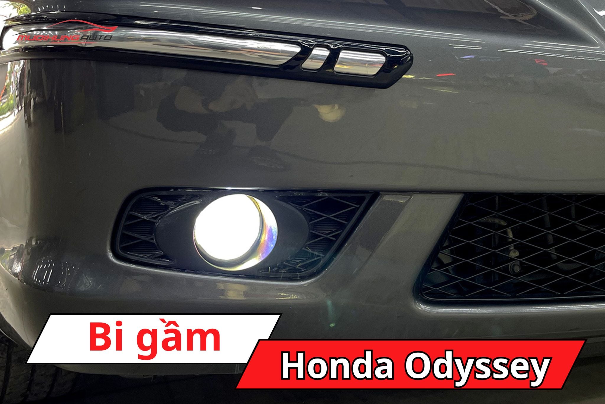 Bi gầm ô tô Honda Odyssey